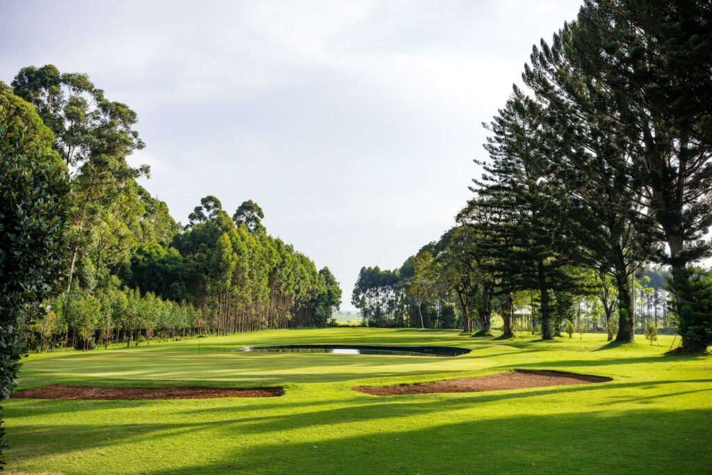 Golf Course Fairway Image