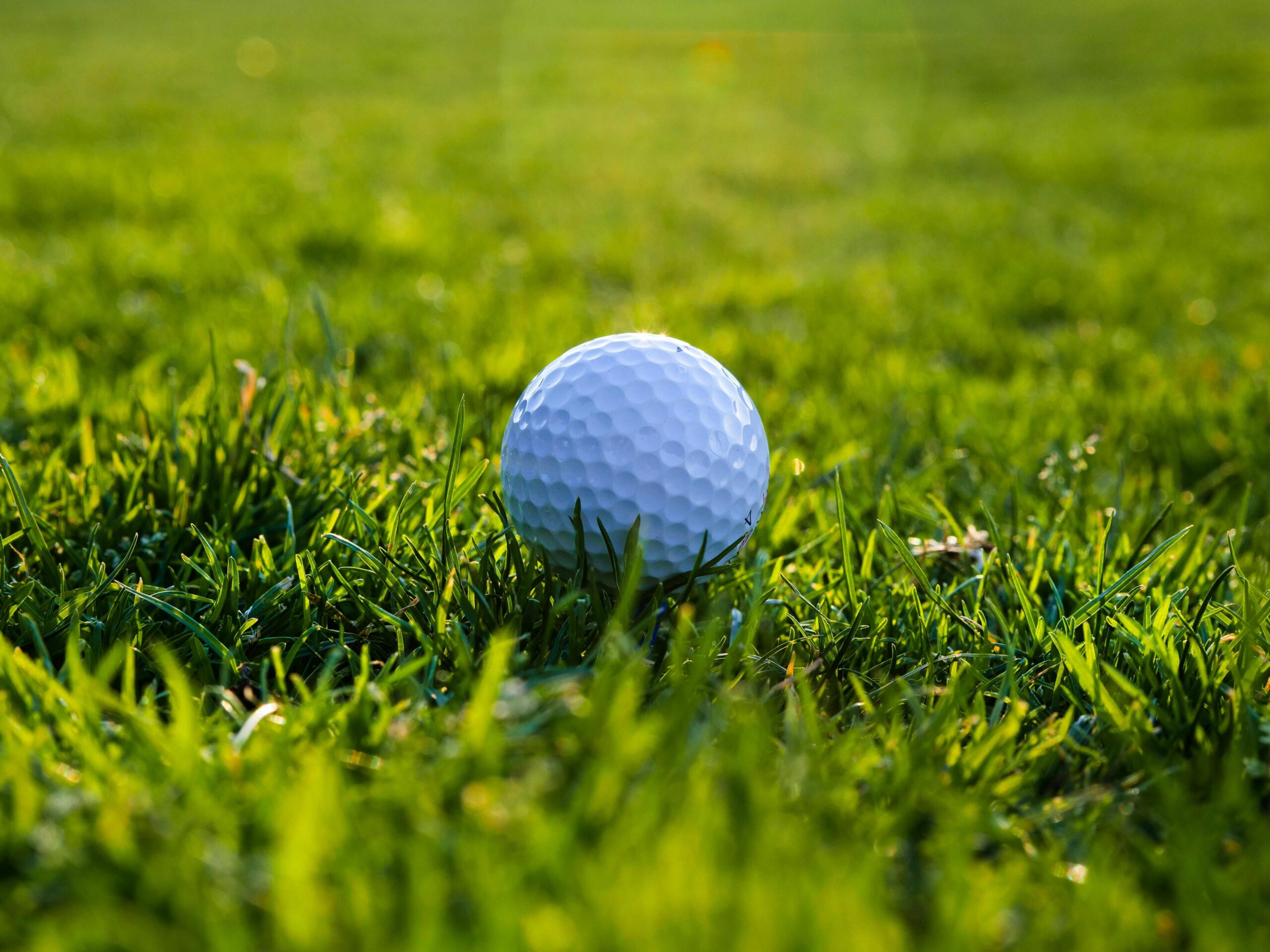 golf ball on the grass - How Often Should a Beginner Practice Golf? Expert Tips