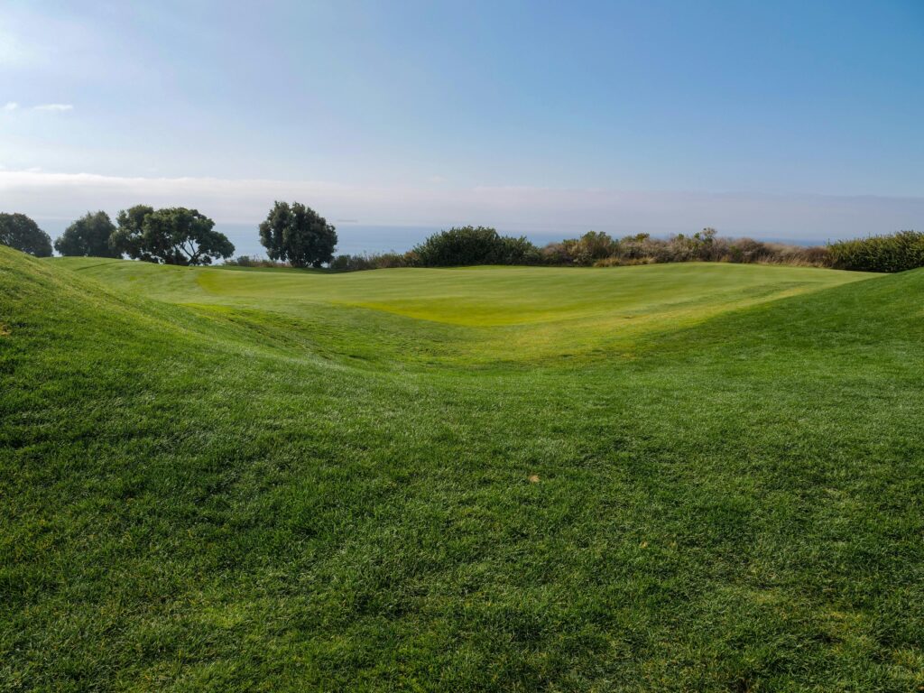 green fairway image